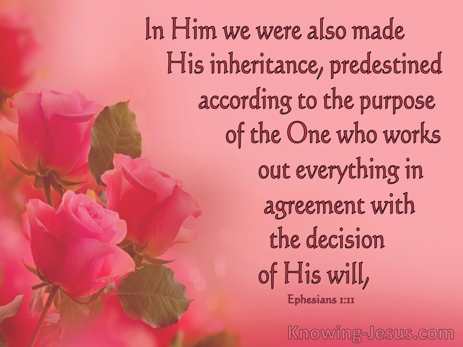 Ephesians 1:11 We Have Obtained An Inheritance, Having Been Predestined According To His Purpose (pink)